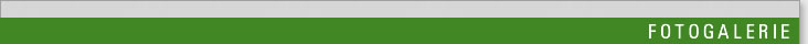 Fotogalerie